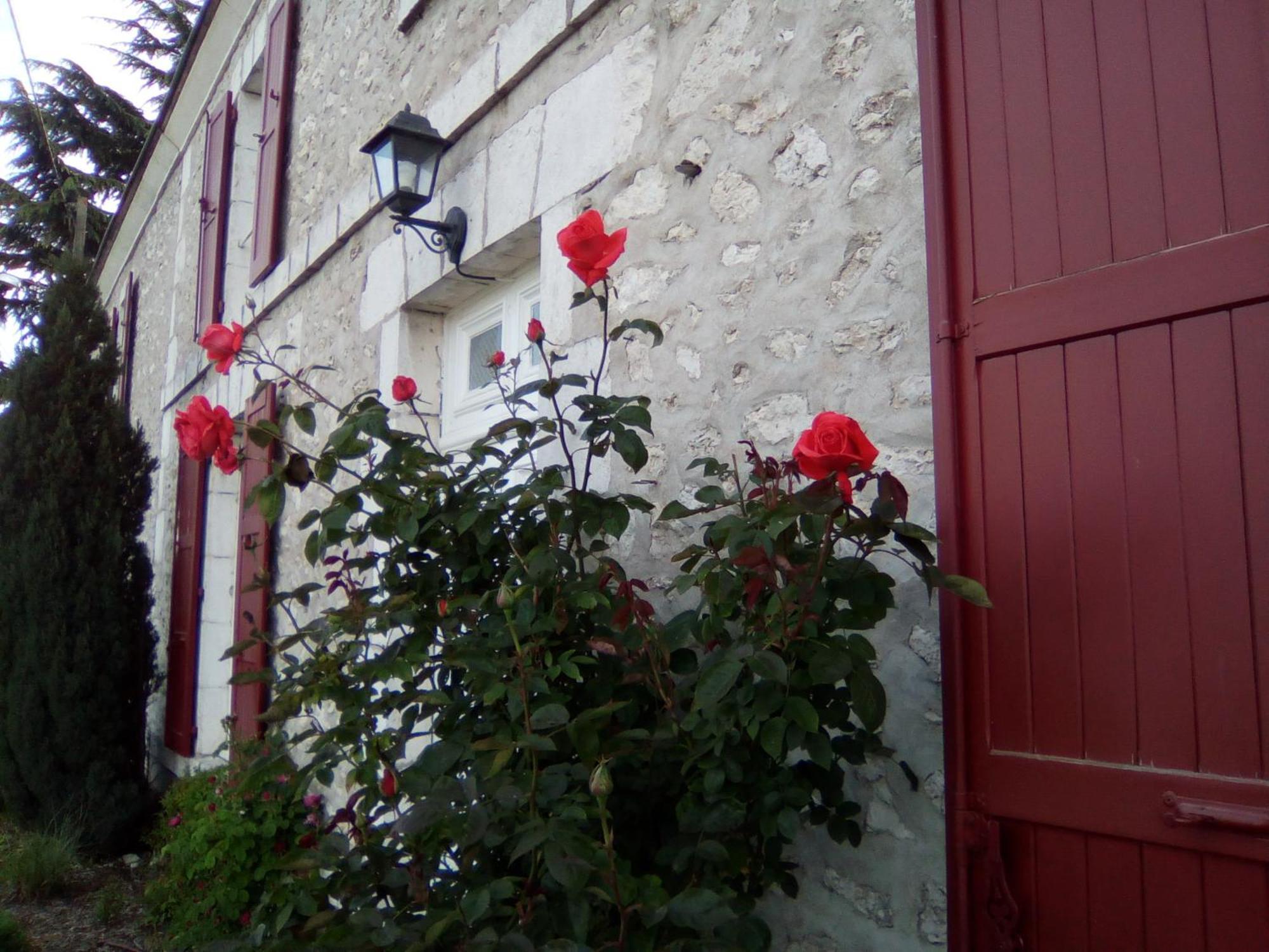 Le Clos De La Vigneronne Messas Luaran gambar
